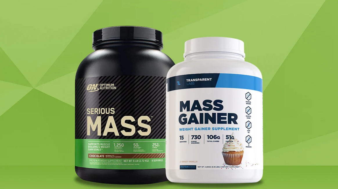 muscle gainer protein